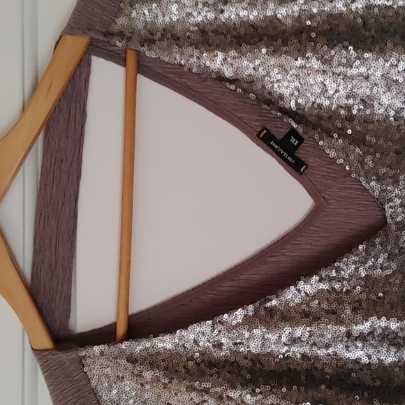 Stella & Dot Silver Sequin Dressy Top ~ Size XXL - Picture 5 of 7